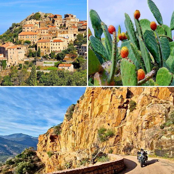 Corsica Motorcycle Tour: Riding the spectacular D84 road, tackling challenging mountain passes and high-altitude curves, included in the self-guided GPX files.